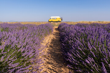 Retro yellow camper van during sunrise time in Valensole lavender fields in Provence, France