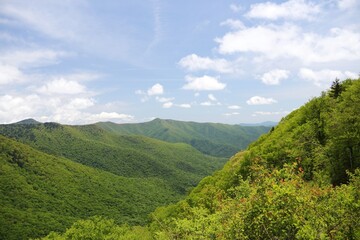 Fototapeta premium Area of Blue Ridge Parkway – USA