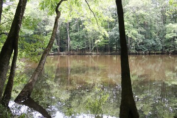 Congaree National Park – USA