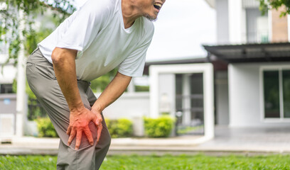 Sick unhappy senior adult elderly asian man touching her muscle injury leg suffering from muscles knee pain ache at home.physical injury and  healthcare problem