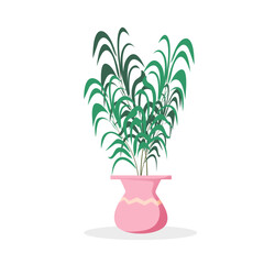 plant in a vase
