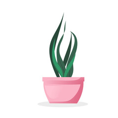 plant in a pot