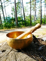 Singing bowl on a cut tree trunk, with the forest in the background