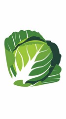 A simple illustration of a cabbage, with only one in the center of the image, is a symbol of art. Dynamic on a clean white background.