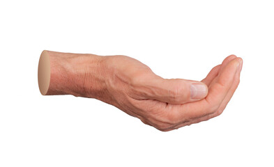 cup shaped hand gesture, holding space isolated on white background