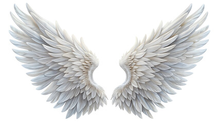 Obraz premium Wings. PNG