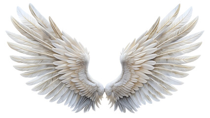 Fototapeta premium Wings. PNG