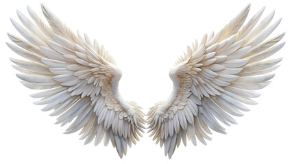 Fototapeta premium Wings. PNG