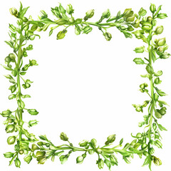 Obraz premium Minimalist vector art of green tea buds in square frame pattern isolated buds on transparent background detailed line work elegant geometric design shades of green and pale yellow 