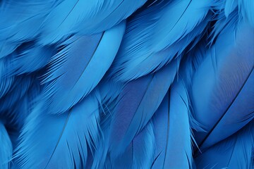 Blue glossy feathers closeup background.