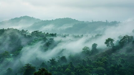 fogging hill on morning. copy space