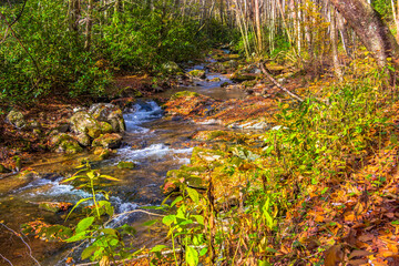 Closeup of Rocky Fork Creek cascades in Rocky Fork State Park, Tennessee.