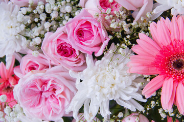 Closeup pink and white flowers, fresh flower background, Background for valentine's day.