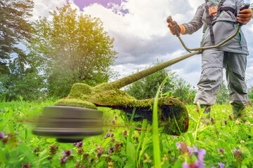 Man using a grass trimmer to cut the lawn in a vibrant, green garden. Active outdoor garden...