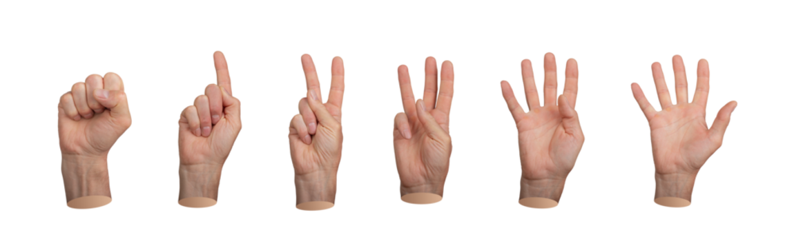 Hands counting, fingers count, from null, one to five, isolated on white background..
