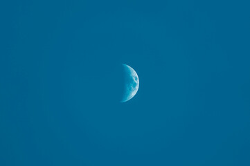 Halbmond im Tageslicht