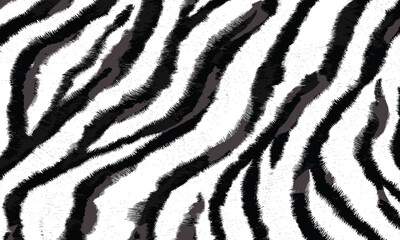 Detailed Black Tiger Skin Pattern Vector Illustration With Wild Texture. Animal Striped Skin Fur Pattern Texture Background
