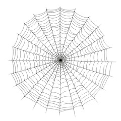 Isolated Spider Web Design with Complex Geometry and Patterns.