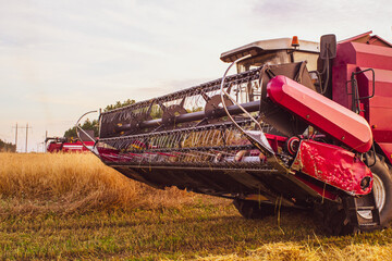 Combine harvester in the field reaps wheat at sunset in summer. Agricultural work	