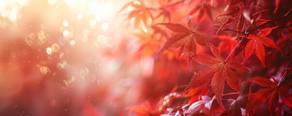 Autumn red leaves abstract background