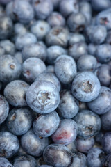 Close up photo of fresh organic blueberries, selective focus.