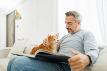 Relaxed mature man with a book petting his attentive chihuahua dog on a white sofa in a bright living room