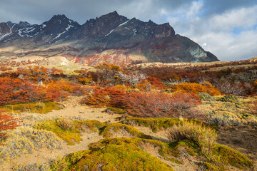 Autumn in Patagonia