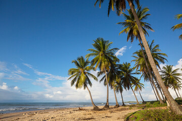 Obraz premium Tropical beach