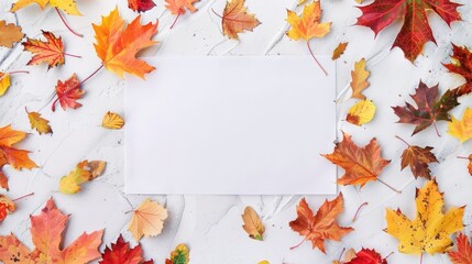 Autumn leaves arranged around a blank white square, creating a vibrant and colorful frame for seasonal content or text.
