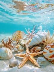 Serene Underwater Paradise with White Sand Beach, Colorful Seashells, Starfish, and Coral Reefs in Clear Blue Water