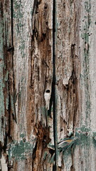 Weathered planks with a hint of faded green paint - Detail of a century old barn in the Netherlands (Achterhoek).