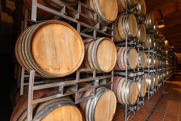 new Wine or cognac barrels in the cellar of the winery, Wooden vine barrels in perspective.