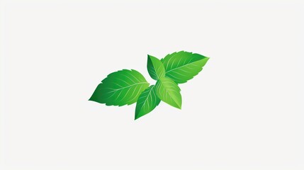 Obraz premium A simple illustration of a single mint in the center of the image is a symbol of art. Dynamic on a clean white background.