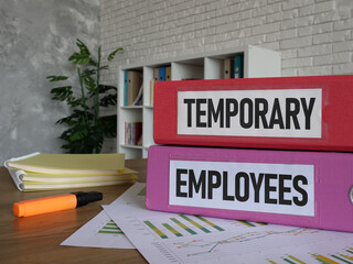 Temporary employees and seasonal employees are shown using the text