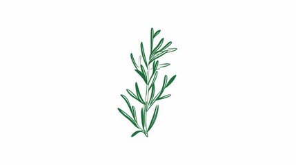 Fototapeta premium A simple illustration of a single rosemary in the center of the image is a symbol of art. Dynamic on a clean white background.