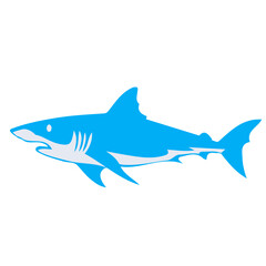 Fototapeta premium shark animal vector, logo, vector illustration, abstract, art, 3d rendering, silhouette