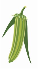 A simple illustration of an okra with only one in the middle of the picture, which is a symbol of art. Dynamic on a clean white background.