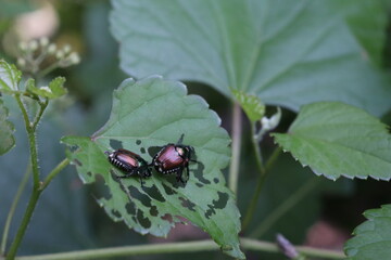 A lot happening in the bug world today!