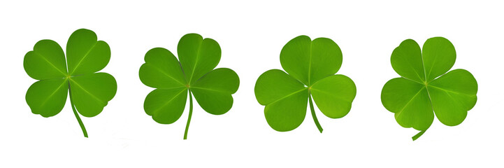 Collection set of green lucky clover and shamrock isolated on transparent background