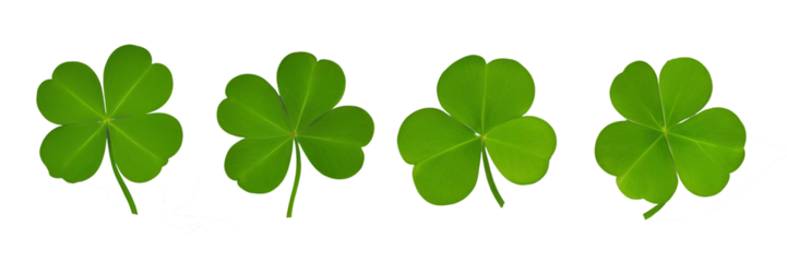 Collection set of green lucky clover and shamrock isolated on transparent background