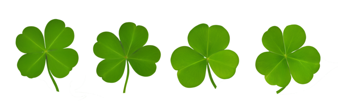 Collection set of green lucky clover and shamrock isolated on transparent background - Powered by Adobe