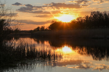 Obraz premium The sun sets behind the tops of the trees growing next to the river, the rays of the sun break through small clouds.