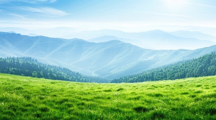 A green valley in summer, with lush trees, green trees and clear blue skies creating a tranquil environment.