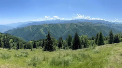 Obraz premium A green valley in summer, with lush trees, green trees and clear blue skies creating a tranquil environment.