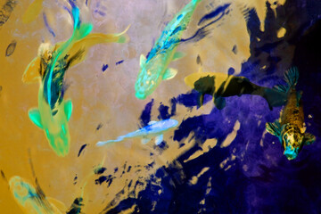 abstract background with green and pink paint in water on black background