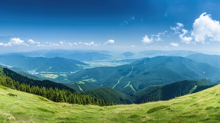 Obraz premium A green valley in summer, with lush trees, green trees and clear blue skies creating a tranquil environment.