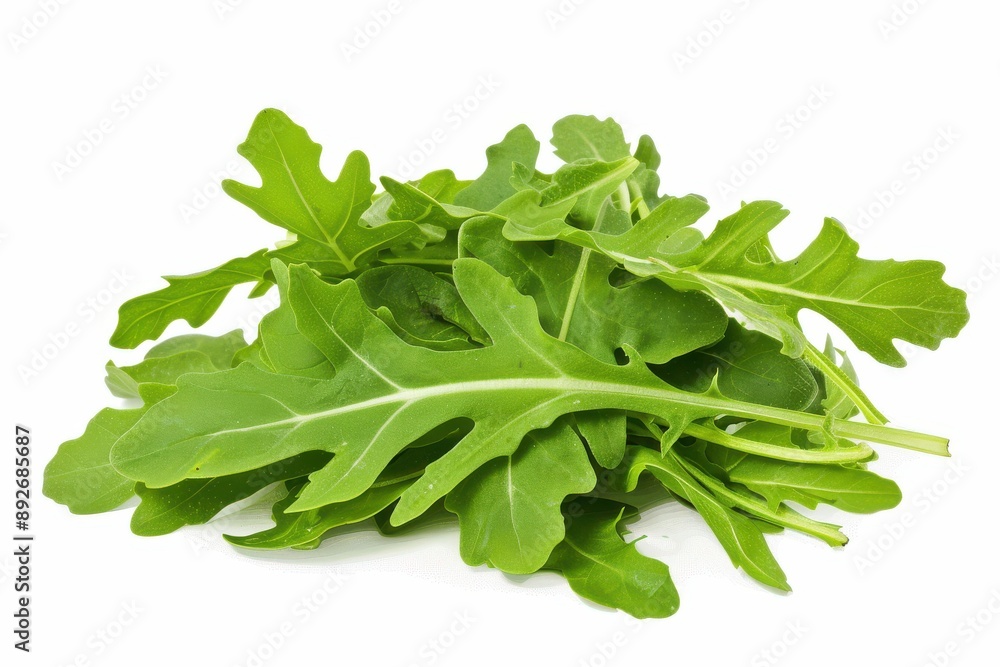 Wall mural tender leaves of rocket lettuce against a white backdrop