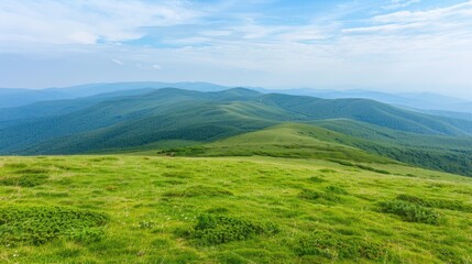 Obraz premium A green valley in summer, with lush trees, green trees and clear blue skies creating a tranquil environment.