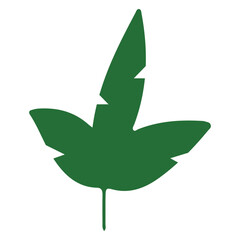 green leaf vector, logo, vector illustration, abstract, art, 3d rendering, silhouette
