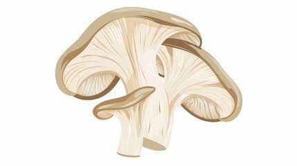 Fototapeta premium A simple illustration of oyster mushrooms, with only one in the center, is a symbol of art. Dynamic on a clean white background.